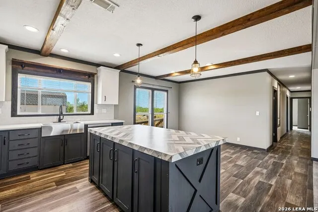 290 Lilly Bear Ln Moore, TX 78057