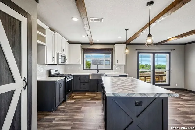290 Lilly Bear Ln Moore, TX 78057