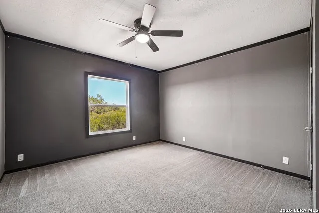 290 Lilly Bear Ln Moore, TX 78057