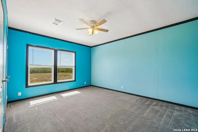 290 Lilly Bear Ln Moore, TX 78057