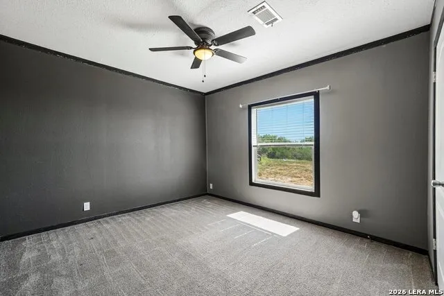 290 Lilly Bear Ln Moore, TX 78057