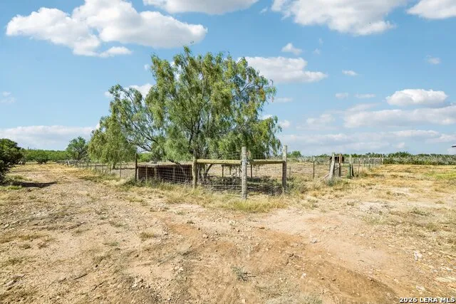 290 Lilly Bear Ln Moore, TX 78057