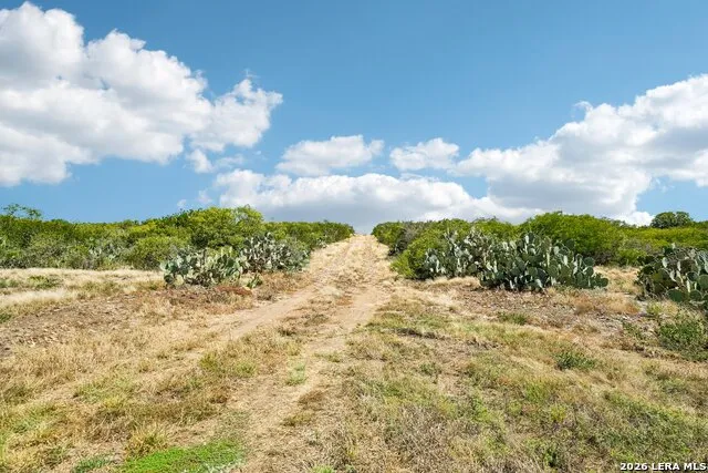 290 Lilly Bear Ln Moore, TX 78057