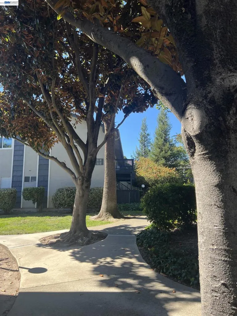 9085 Alcosta Blvd #352 San Ramon, CA 94583