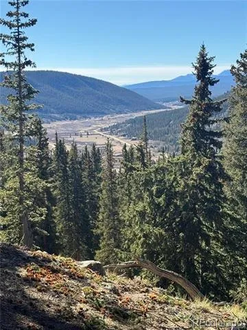 275 Lakeview Drive Alma, CO 80420