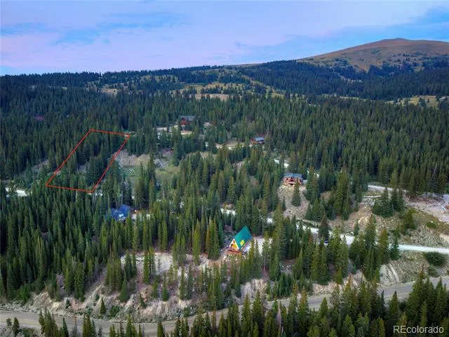 275 Lakeview Drive Alma, CO 80420