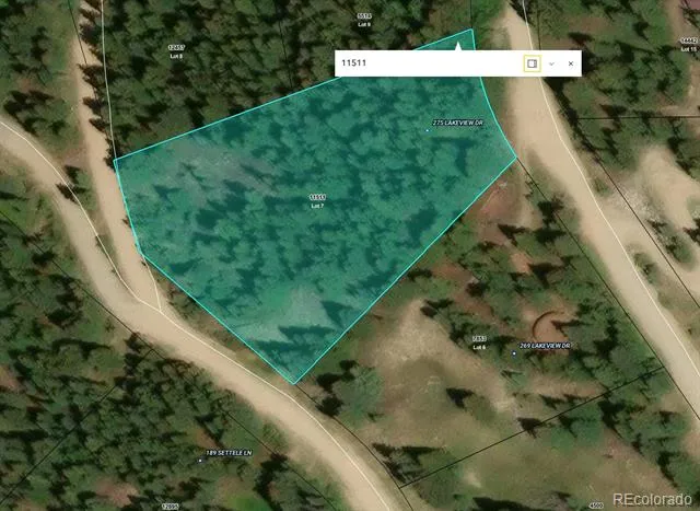 275 Lakeview Drive Alma, CO 80420