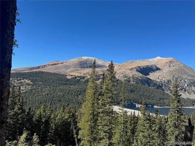 275 Lakeview Drive Alma, CO 80420