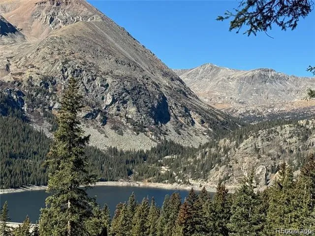 275 Lakeview Drive Alma, CO 80420