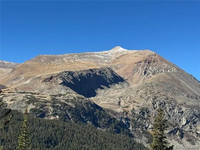 275 Lakeview Drive Alma, CO 80420