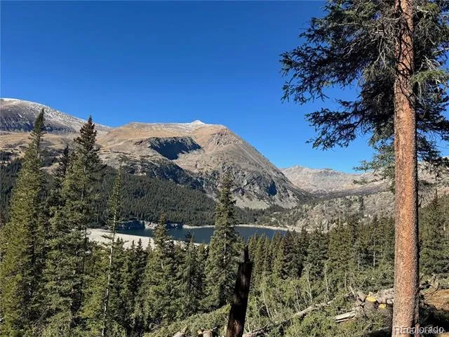 275 Lakeview Drive Alma, CO 80420