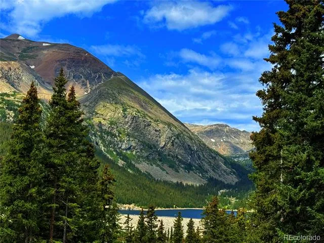 275 Lakeview Drive Alma, CO 80420