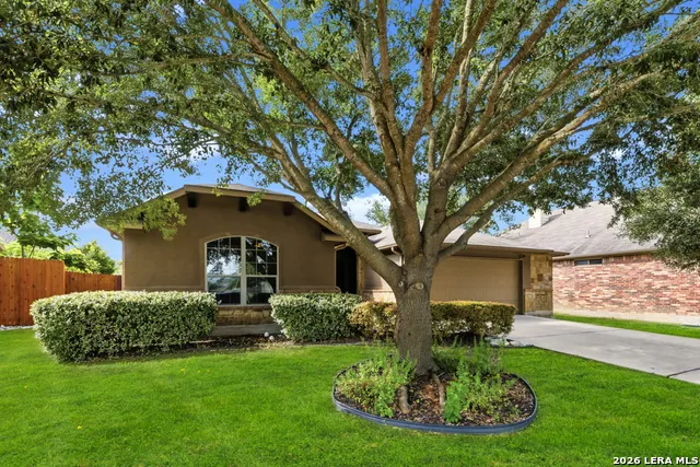 238 Pecan Gap New Braunfels, TX 78130