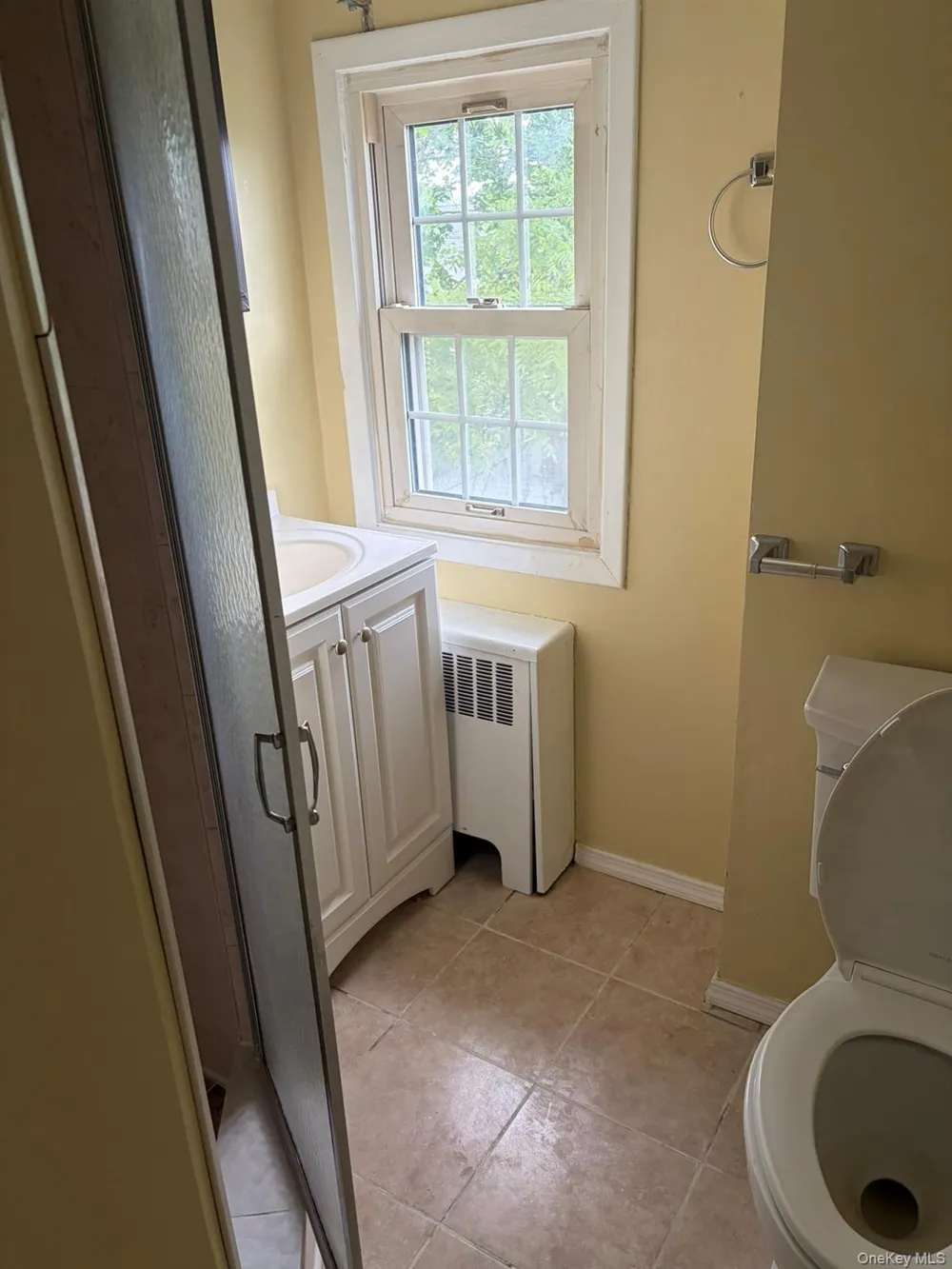 243 Lee Avenue Hicksville, NY 11801