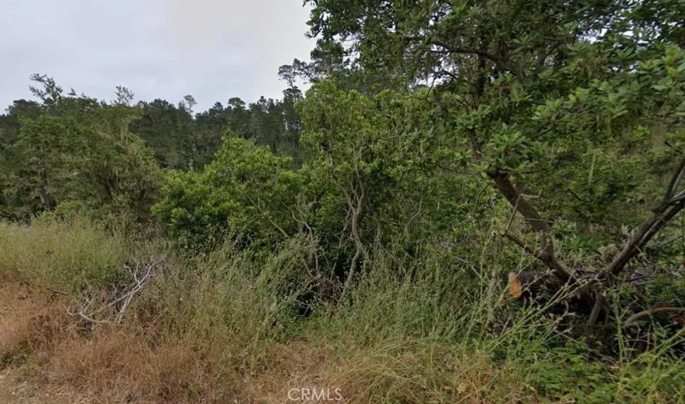 2812 Ramsey Road Cambria, CA 93428