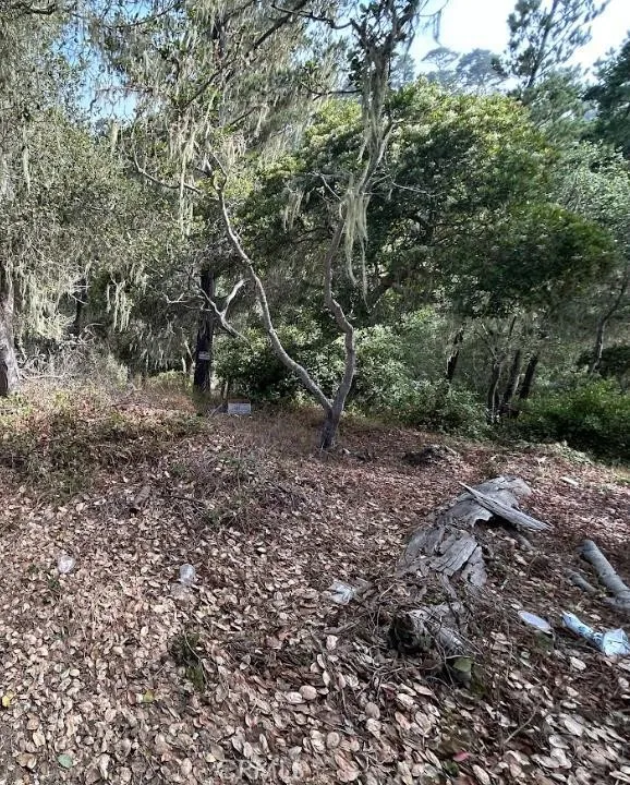 2812 Ramsey Road Cambria, CA 93428