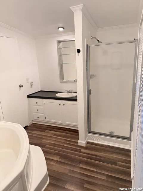 13835 OWL TREE ST San Antonio, TX 78253