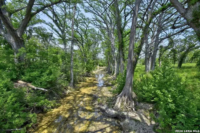 134 Narrows Blanco, TX 78606