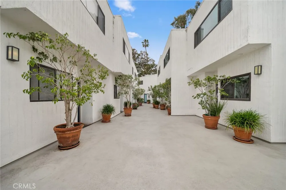 2500 Abbot Kinney Boulevard #5 Venice, CA 90291