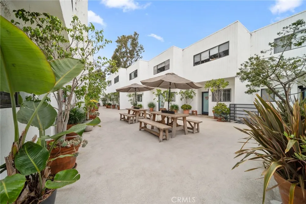 2500 Abbot Kinney Boulevard #5 Venice, CA 90291