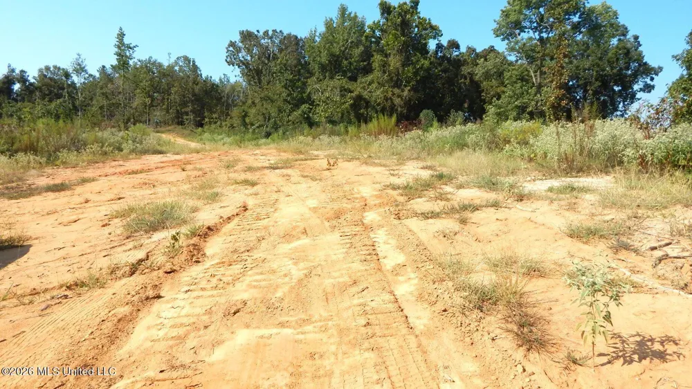 275 County Road 239 Tillatoba, MS 38961