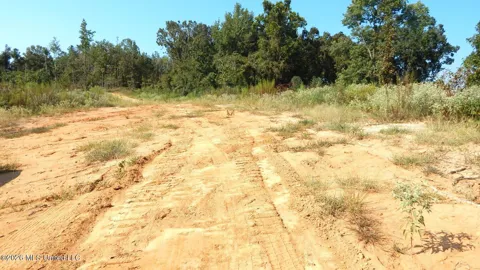 275 County Road 239