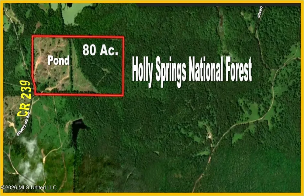 275 County Road 239 Tillatoba, MS 38961