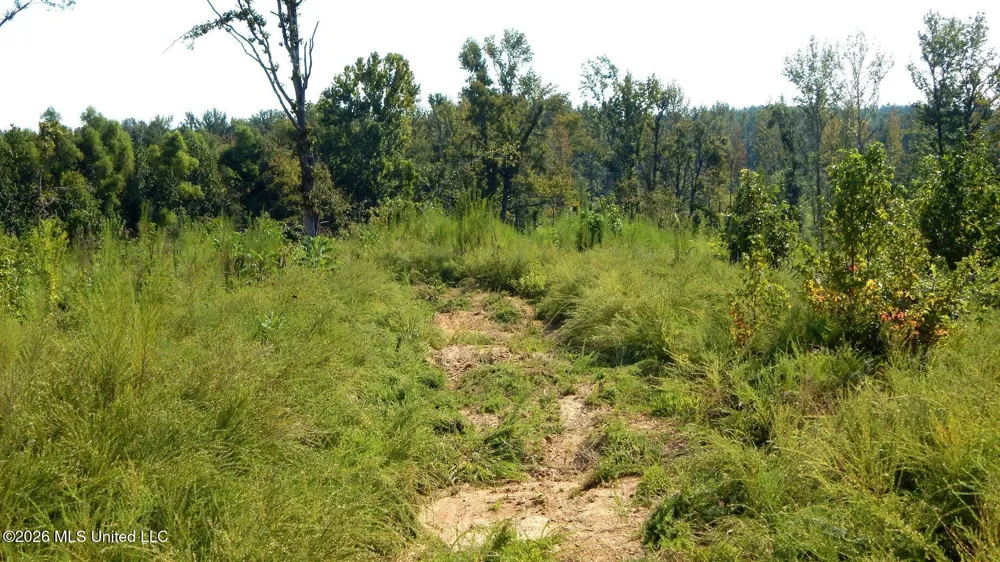 275 County Road 239 Tillatoba, MS 38961