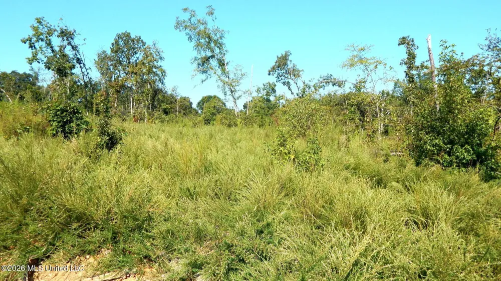 275 County Road 239 Tillatoba, MS 38961
