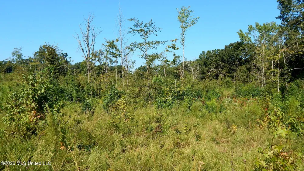 275 County Road 239 Tillatoba, MS 38961