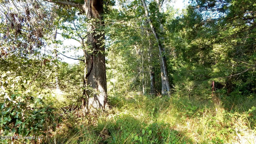 275 County Road 239 Tillatoba, MS 38961