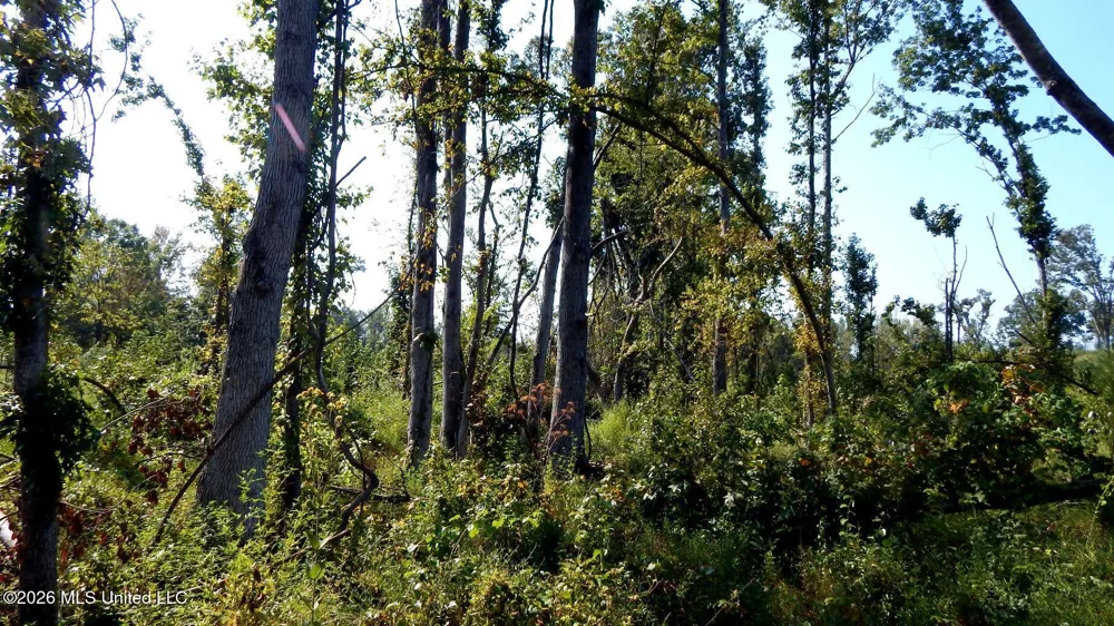 275 County Road 239 Tillatoba, MS 38961