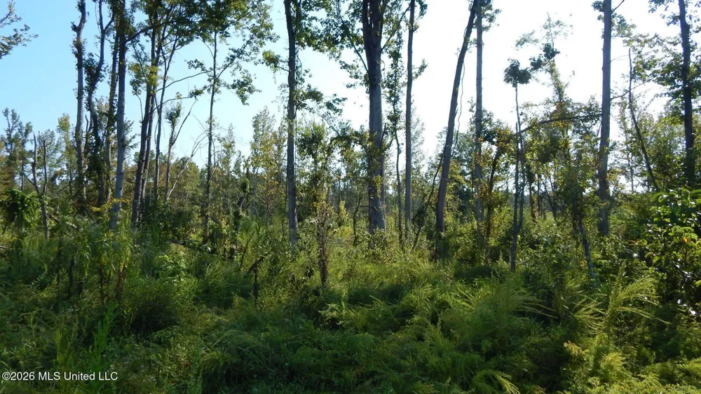 275 County Road 239 Tillatoba, MS 38961