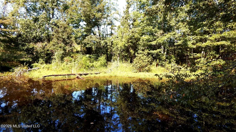 275 County Road 239 Tillatoba, MS 38961