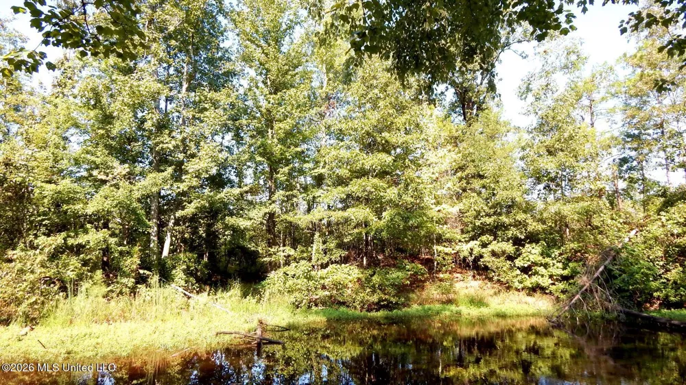 275 County Road 239 Tillatoba, MS 38961