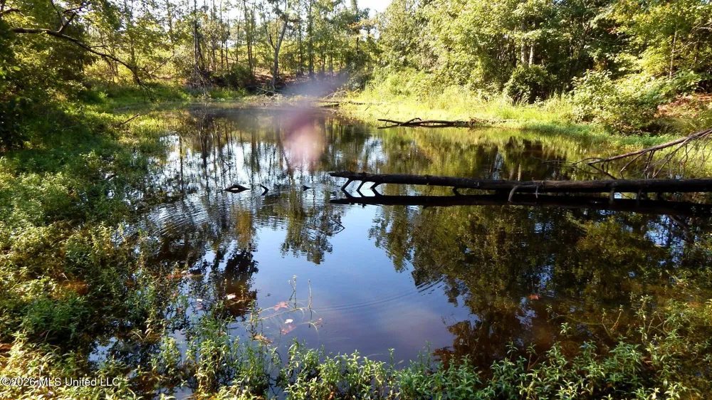 275 County Road 239 Tillatoba, MS 38961