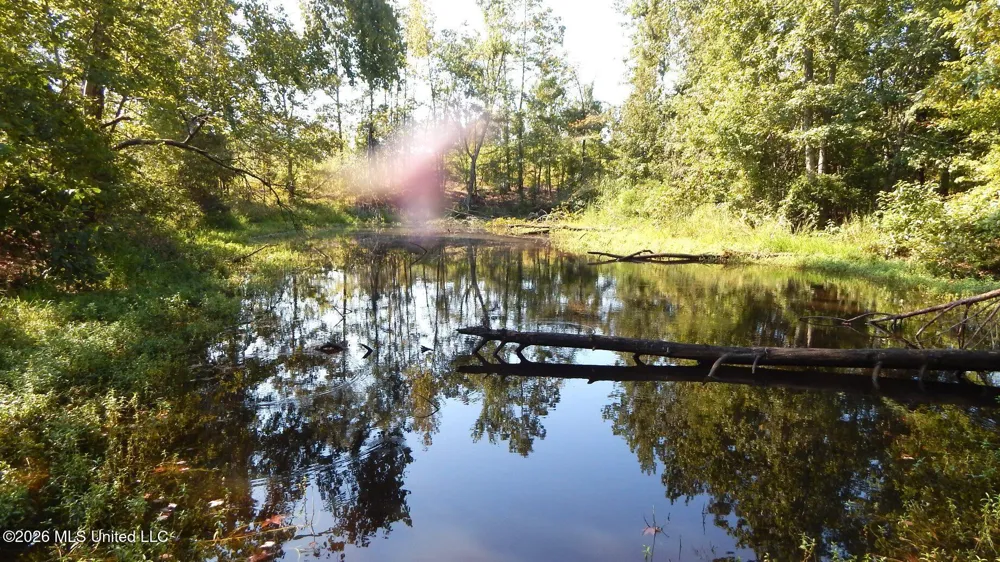275 County Road 239 Tillatoba, MS 38961
