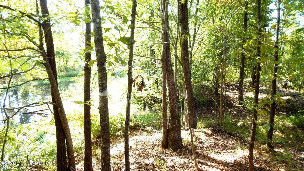 275 County Road 239 Tillatoba, MS 38961