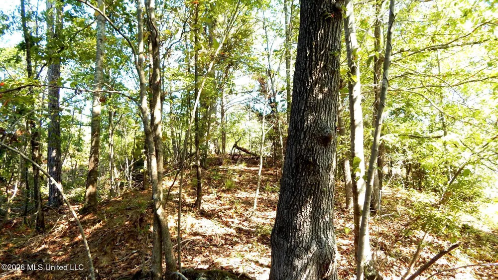 275 County Road 239 Tillatoba, MS 38961
