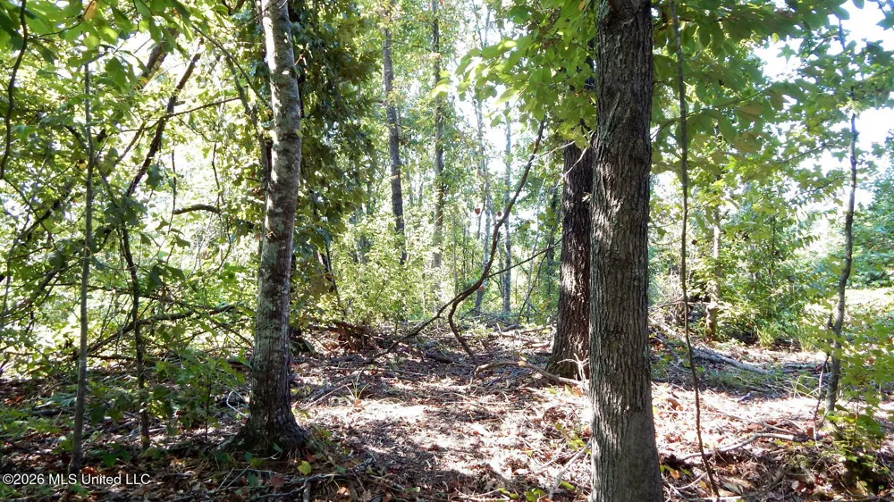 275 County Road 239 Tillatoba, MS 38961
