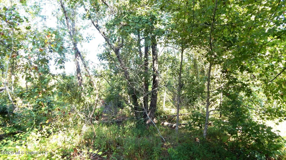 275 County Road 239 Tillatoba, MS 38961