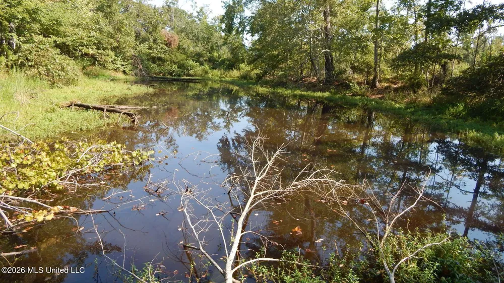 275 County Road 239 Tillatoba, MS 38961