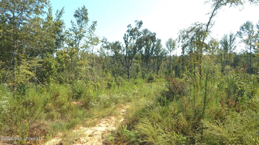 275 County Road 239 Tillatoba, MS 38961