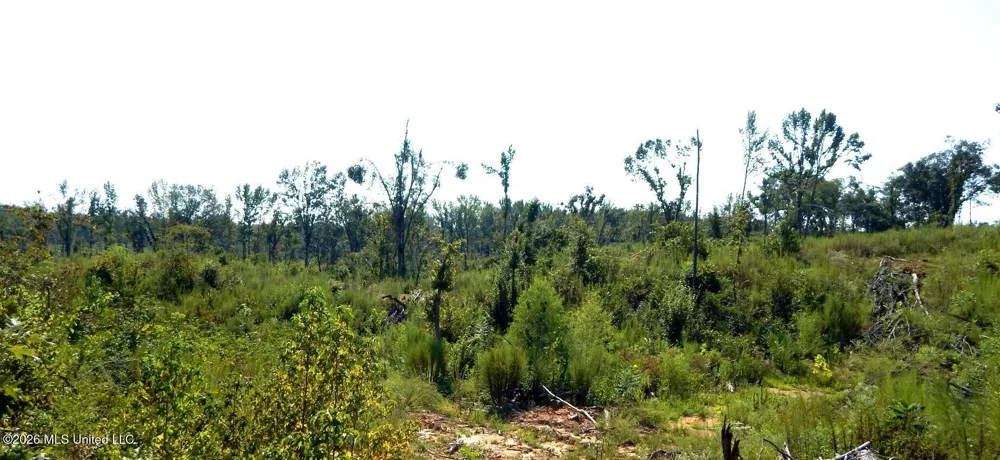 275 County Road 239 Tillatoba, MS 38961