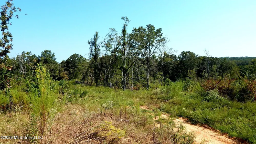 275 County Road 239 Tillatoba, MS 38961