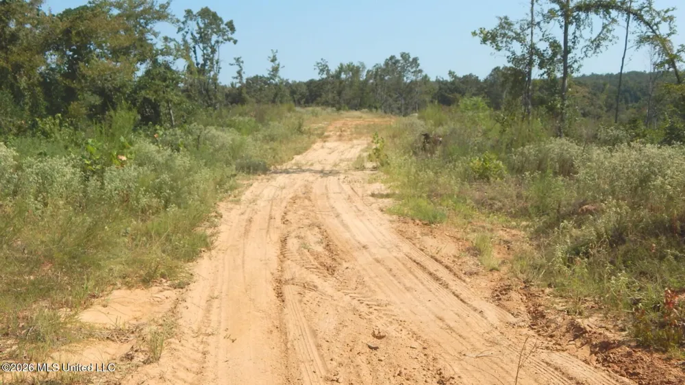 275 County Road 239 Tillatoba, MS 38961