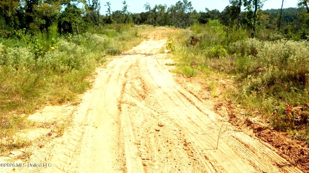 275 County Road 239 Tillatoba, MS 38961