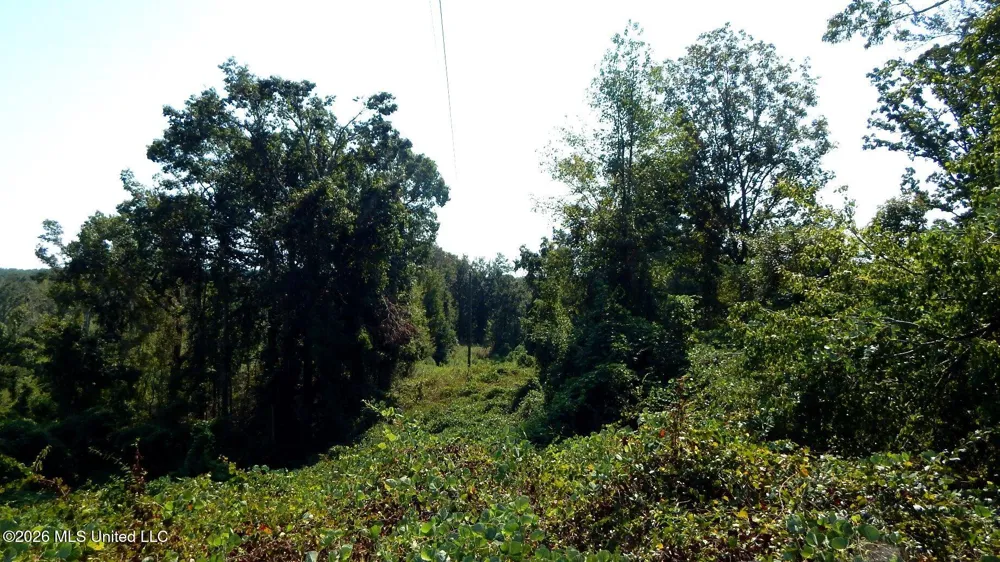 275 County Road 239 Tillatoba, MS 38961