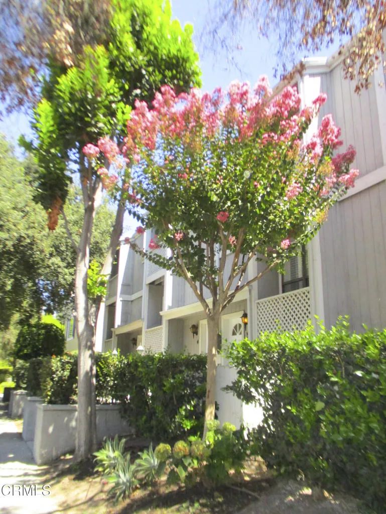 965 E Del Mar Boulevard #3 Pasadena, CA 91106