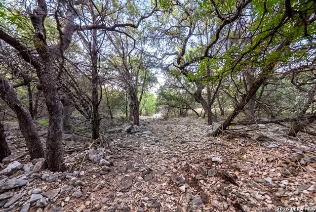 719 Walder Trail San Antonio, TX 78260